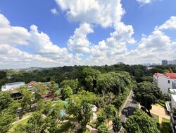 Goldhill Towers (D11), Apartment #548119411